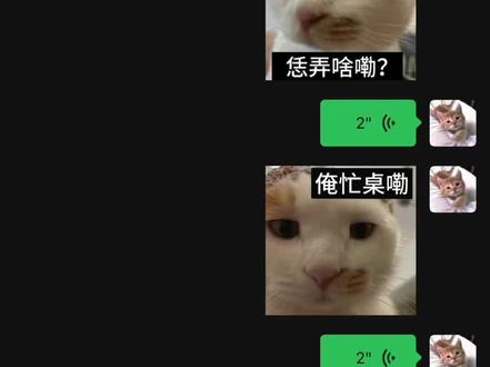 恁是河南嘞小猫儿不?#河南话#猫咪#配音#方言
表情包来源@腊八蒜发福了