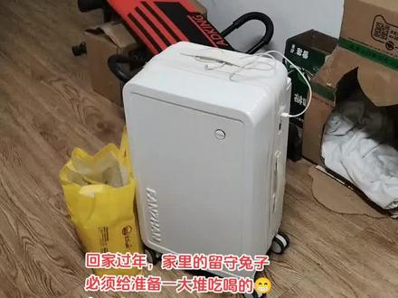 过年回家,家里的宠物怎么办?我家猫寄养了,兔子必须给足吃的喝的,留守兔子的新年大餐😂#过年回家 #留守宠物 #留守兔子