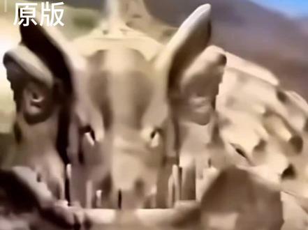 kskbl,zdjd?#康神开播了