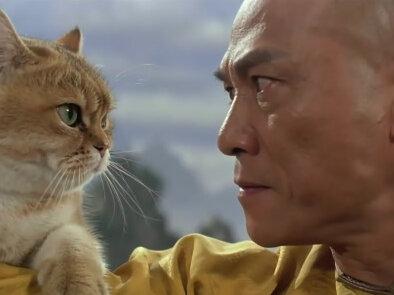 接下来我就不客气了 这种邵氏电影风格的“接下来我就不客气了”的小猫武打AI 视频是怎么做的。?#邵氏电影 #AI视频 #AI动画 #AI教程 #AI提示词