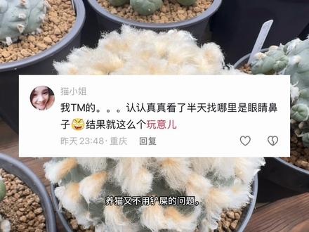 接上期科普视频,想毛的翠冠玉#翠冠玉 #乌羽玉属