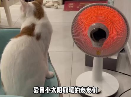 友情提示:熟了是不能吃自己的哦 #烤火取暖 #烤火斑 #冷知识