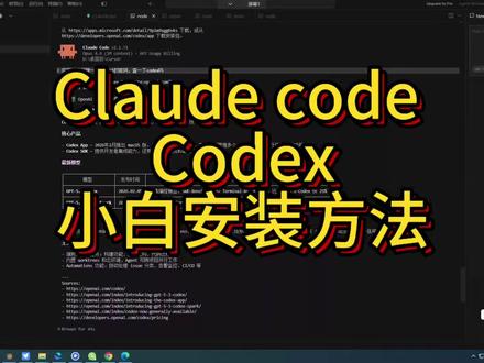 claude code 和Codex安装方法,小白都可以学会的,非常的简单,不是程序员的方法