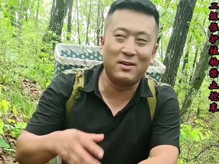 它有一个很美的名字叫七叶一枝花同时又有一个很霸气的名字………#七叶一枝花 #百里村长 #真实户外 @抖音安全中心 @抖音热点 @抖音创作者大会