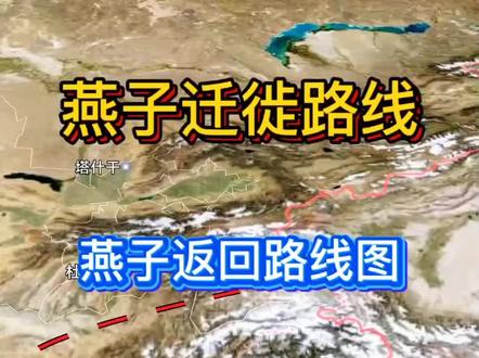 燕子迁徙路线 燕子返回路线图 看完涨知识了#燕子迁徙 #燕子迁徙路线
