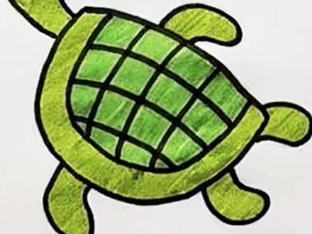 5岁+《海龟》|每一笔都是想象力的爆发! #跟我一起学画画 #创作者中心 #创作灵感 #海龟 #简笔画