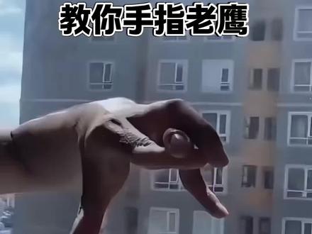 教你一招手指老鹰你看懂了吗? #魔术 #动手动脑 #脑洞大开 #手指锻炼