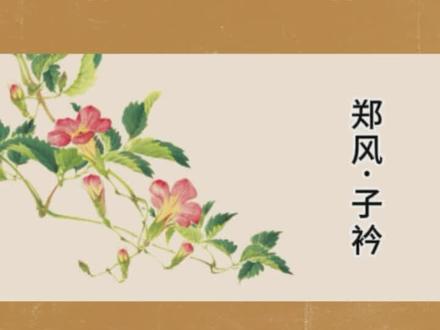 青青子衿,悠悠我心#诗经 #读书 #国风 #爱情