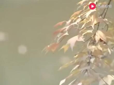 名家名段《不怨您我的好哥哥》真好听,韵味十足的经典唱段🙏🌺