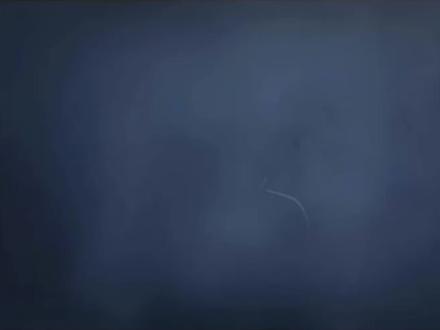 #原神 计划有变 抽杜林 #杜林人形态