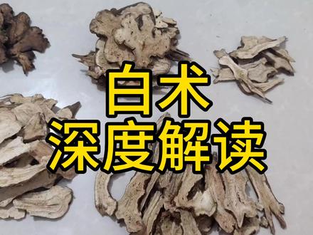 白术 深度解读 教你一些你能用到的知识#白术 #浙白术 #中药 #中医 #大有学问