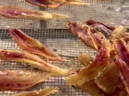 快来说说鳘鱼鳔有哪些功效,你吃过纯野生的鳘鱼鳔吗?#鱼胶花胶 #滋补养生 #赤嘴鳘鱼胶 #鱼胶文化