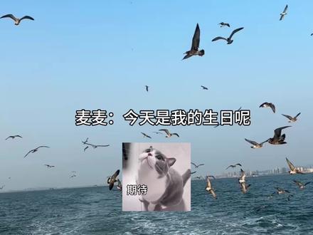 看到你就会很高兴~#广播剧 #张福正 #孙睿扬 #于是麦麦决定离家出走 #猫耳FM