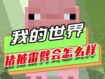 我的世界:猪被雷劈会怎么样,困难模式下,直接死亡不掉猪排