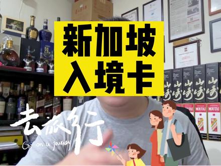 #新加坡King哥 不同人群入境 #新加坡 都需要提前准备哪些资料