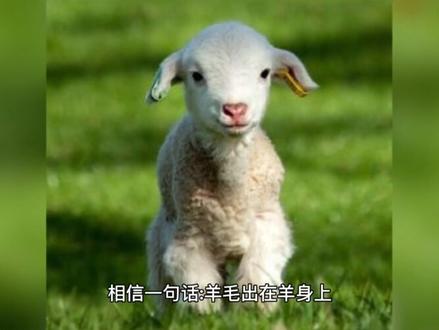 关于银行,老百姓不容易,不要傻傻上当了