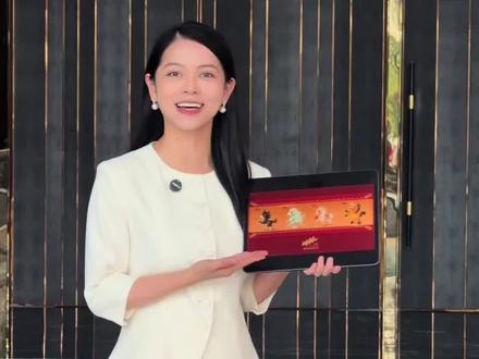 .春晚吉祥物,萌马天团来拜年!#马年 #春晚 #春晚吉祥物 #中国文化 #正能量