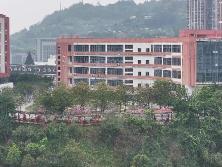 今天,我们开学啦 #开学