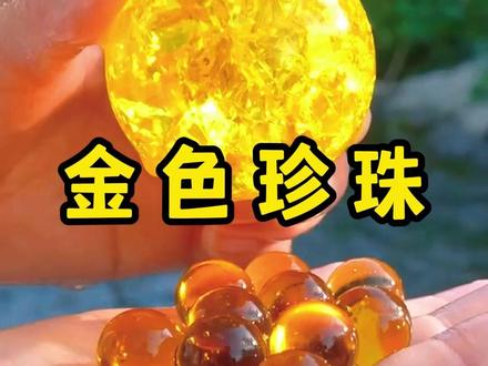 河蚌里竟然开出了巨大金色宝珠 #三农流量扶持计划 #河蚌