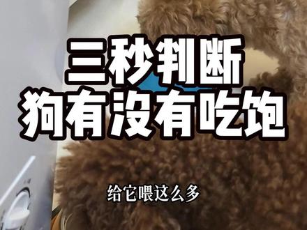 狗狗喂饭别瞎猜!3秒判断饱没饱,3类食物量直接抄 #喂狗 #新手养狗 #养狗经验分享 #养狗人 #狗狗健康