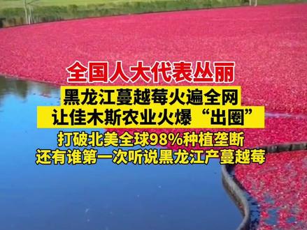 全国人大代表丛丽:黑龙江蔓越莓火遍全网,让佳木斯农业火爆“出圈”!#2024全国两会