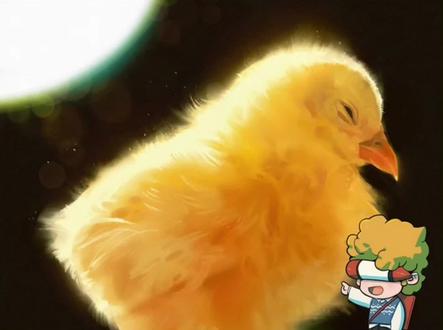 #绘画过程 #充能计划 #色彩60天挑战赛 【动物毛发质感表现!】如何画一只毛绒绒的小鸡🐥叽叽叽