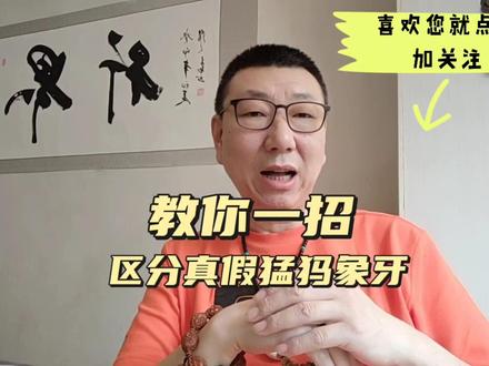 教你一招!区分真假猛犸象牙!!! #猛犸象牙 #猛犸象牙配饰 #文玩珠宝