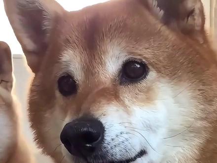 恩格尔你吃的明白吗?这美食钱花的值不值,我自有定论