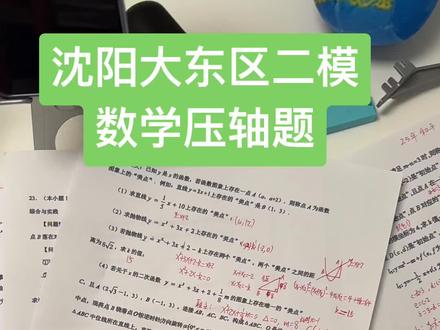 沈阳大东区二模数学压轴题