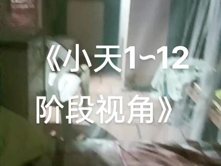 《小天1到12阶段视角》