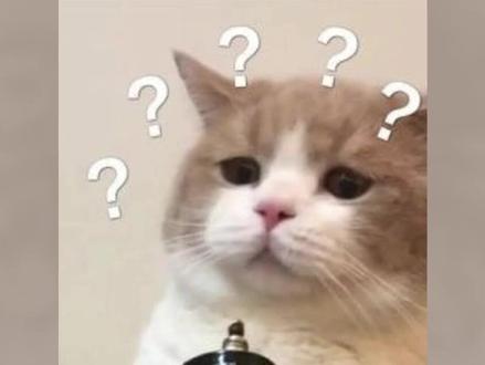 新到手的真我手机,怎么设置才好用?我来教你! #真我手机#真我#性价比手机#真我neo8#手机推荐