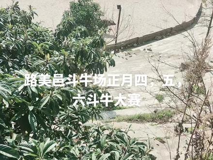 #随手一拍都是美景 蓝天白云晴空万里