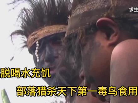 为摆脱喝水充饥,部落猎杀天下第一毒鸟食用,饿死不种地,纪录片 #荒野求生 #原始部落 #狩猎 #美食
