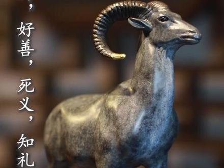 羊有四德,喜群,好善,死义,知礼。属羊的朋友们觉得说的对吗?@抖音小助手 #十二生肖 #我们属羊的