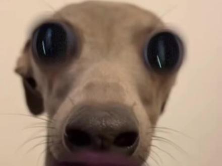 初二就这样对我!#英语 #口语