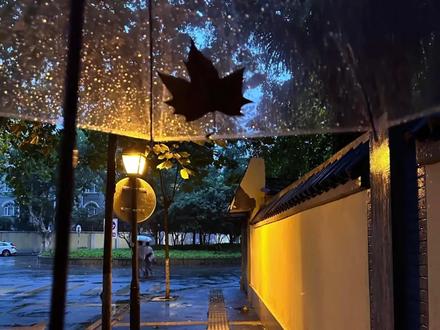 关于我的2025年,快来一起清空相册 #剪辑 #2025 #自学剪辑 #热点60秒 #跨年