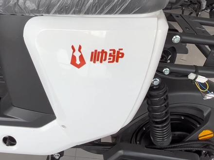 精准定位,超能防水,双霍尔电机,动力强劲,联动刹车,点到为止,尺寸够大,超长续航。帅驴,您的外卖工具不二之选。#狂飙#源头厂家#外卖电动车#换电#帅驴