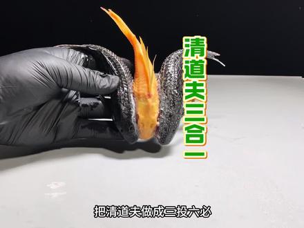 清道夫三合一 #清道夫 #清道夫奇葩试验 #趣味实验