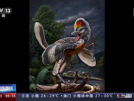 中国科学家在政和发现约1.5亿年前鸟翼类恐龙“奇异福建龙”和“政和动物群”,这是目前所知世界上侏罗纪最晚期和地理位置最南的鸟翼类恐龙,也是福建省内首次发现恐龙化石。
来源:中新网、央视新闻