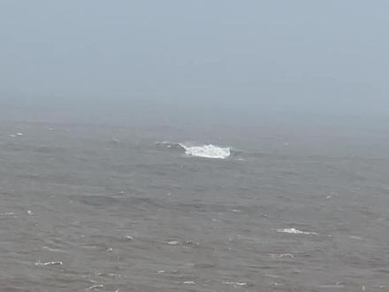 你看到了吗?#普陀山 #观音菩萨