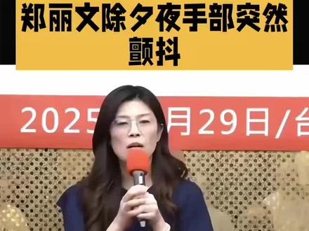 海峡热点一一郑丽文巾帼不让须眉