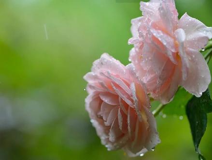 帐单明细密码怎么取消,破好#帐单解压密码 #账单密码怎么解 #账单密码怎么获取 #交易明细解压密码在哪里 #讯也快破