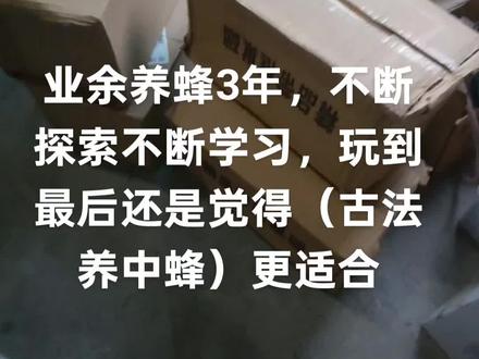 #养蜂技术分享 #诱蜂技术 不断入坑,反复试验,还是想要养好中蜂还得是(土养)