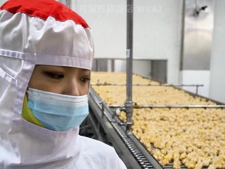 #安井丸子 到底怎么样,一条视频带你了解!#工厂实拍视频 #废话文学