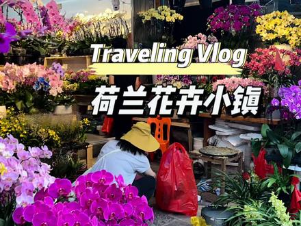 深圳荷兰花卉小镇|花鸟市场,疲惫的生活需要一束鲜花来治愈#荷兰花卉小镇 #花鸟市场 #周末去哪玩 #花卉市场 #深圳游玩攻略