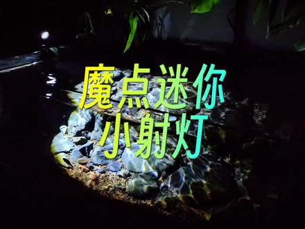 魔点迷你小射灯,东西小,功能一点也不少,视频最后照射出来的氛围感很喜欢#原生溪流缸#养鱼人#氛围感小夜灯 #射灯 #视觉效果