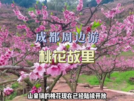 龙泉山赏桃花🌸的春季游记攻略来啦!!#旅行攻略扶持计划 #成都周边游 #周末去哪玩 #赏花春游好去处 #春天就要出去野
