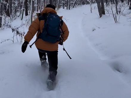 哈尔滨林海雪原徒步穿越#雪一落这里就美成了诗 #冰天雪地也是金山银山 #见过这么美丽的雪景吗 #冬天怎么能不去哈尔滨呢 #北国好风光尽在黑龙江