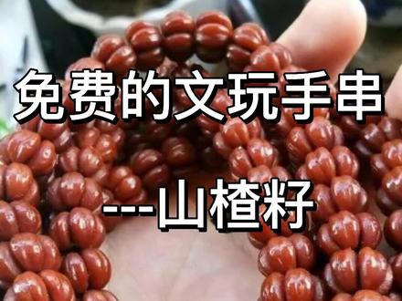 #日常vlog #文玩发烧友 #五福籽 山楂籽手串制作流程,有叫五福临门寓意挺好@DOU+小助手 @抖音小助手