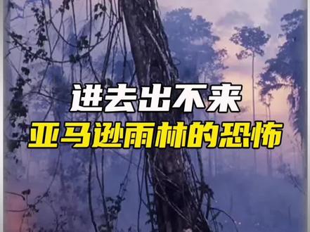 全世界最恐怖的禁地亚马逊雨林有多恐怖?#科普 #冷知识 #未解之谜 #探险 #亚马逊雨林